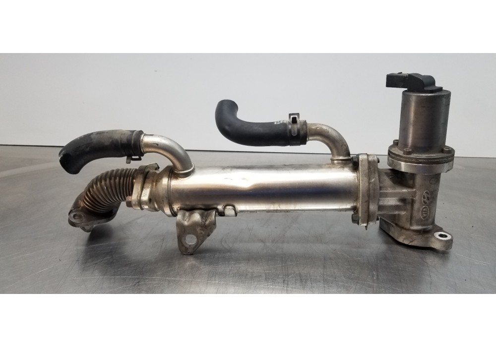 Recambio de valvula egr para hyundai sonata (nf) 2.0 crdi comfort i referencia OEM IAM 2841027410 2840027401  Recambio de valvula egr para hyundai sonata (nf) 2.0 crdi comfort i referencia OEM IAM 2841027410 2840027401