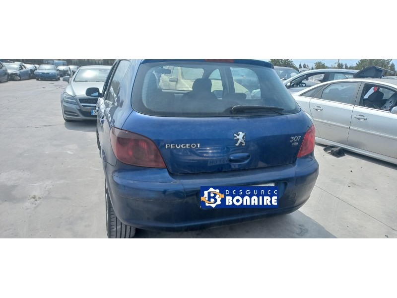 peugeot 307 (s1) del año 2004