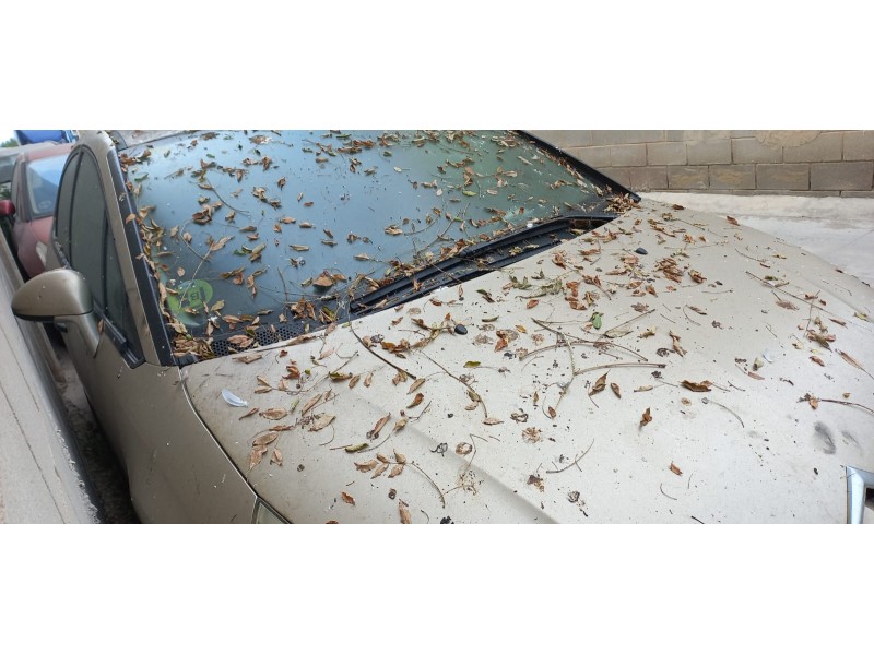 citroen c4 berlina del año 2005