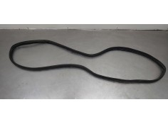 Recambio de gomas contorno puerta para dacia lodgy stepway referencia OEM IAM 769236807R  