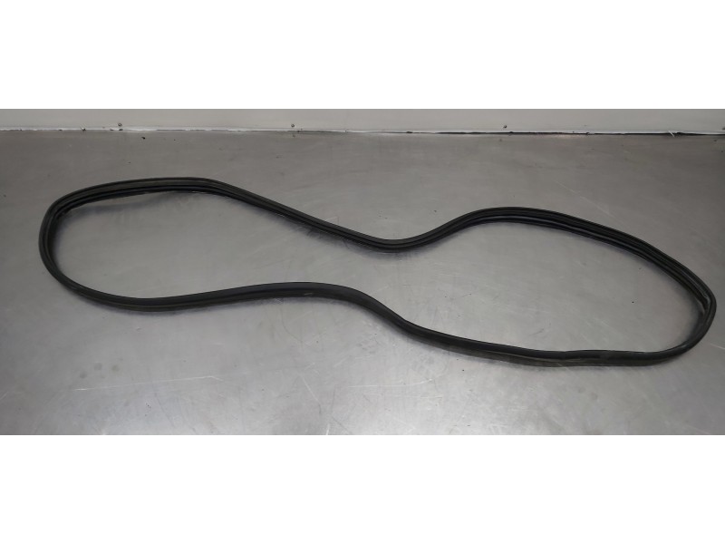 Recambio de gomas contorno puerta para dacia lodgy stepway referencia OEM IAM 769236807R   Recambio de gomas contorno puerta para dacia lodgy stepway referencia OEM IAM 769236807R