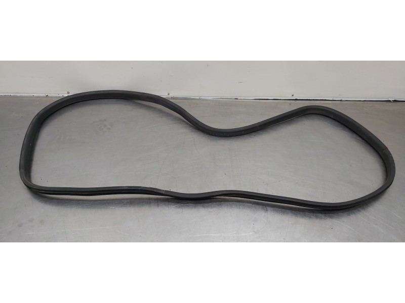 Recambio de gomas contorno puerta para dacia lodgy stepway referencia OEM IAM 808329324R  