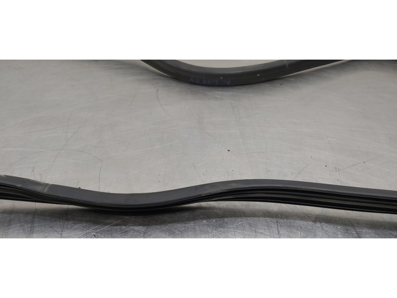 Recambio de gomas contorno puerta para dacia lodgy stepway referencia OEM IAM 808329324R  