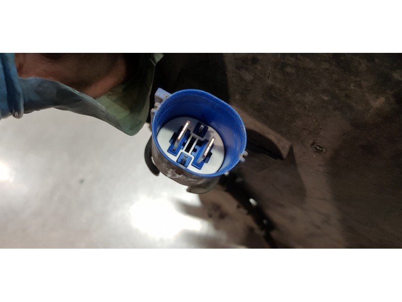 Recambio de electroventilador para mercedes clase a (w169) a 150 (169.031) referencia OEM IAM A1695000193 A1695000193 A169505015 Recambio de electroventilador para mercedes clase a (w169) a 150 (169.031) referencia OEM IAM A1695000193 A1695000193 A169505015