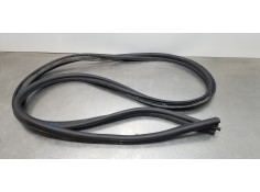 Recambio de gomas contorno puerta para dacia lodgy comfort referencia OEM IAM 808327881R   2