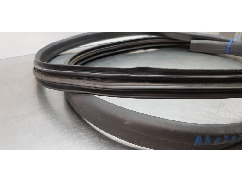 Recambio de gomas contorno puerta para dacia lodgy laureate referencia OEM IAM 769236807R  