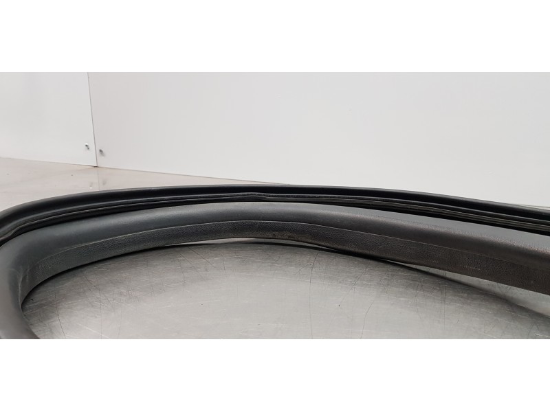 Recambio de gomas contorno puerta para dacia lodgy laureate referencia OEM IAM 769236807R  