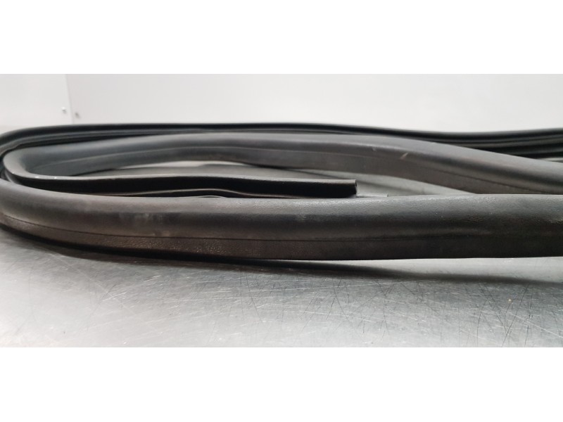 Recambio de gomas contorno puerta para dacia lodgy laureate referencia OEM IAM 769236807R  