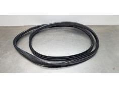 Recambio de gomas contorno puerta para dacia lodgy comfort referencia OEM IAM 769230599R