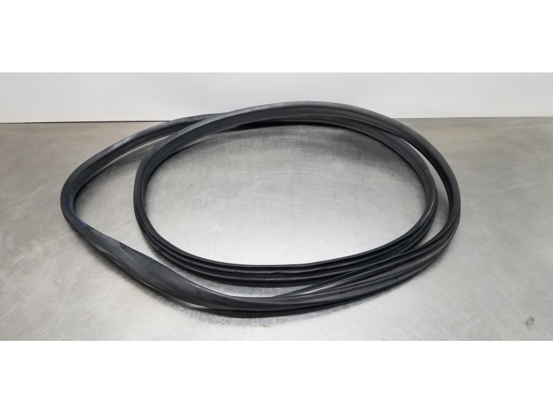 Recambio de gomas contorno puerta para dacia lodgy comfort referencia OEM IAM 769230599R  