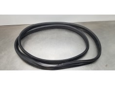 Recambio de gomas contorno puerta para dacia lodgy comfort referencia OEM IAM 769230599R   2