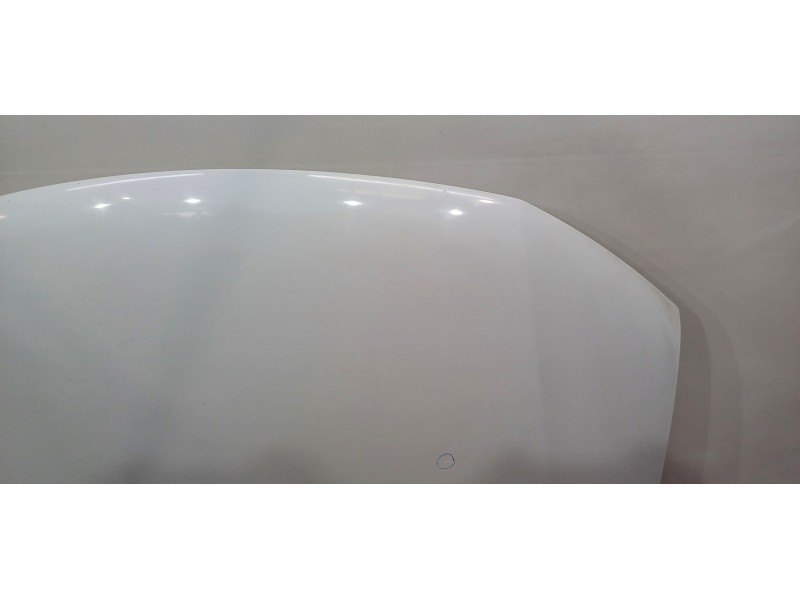 Recambio de capot para dacia logan ii ambiance referencia OEM IAM    Recambio de capot para dacia logan ii ambiance referencia OEM IAM