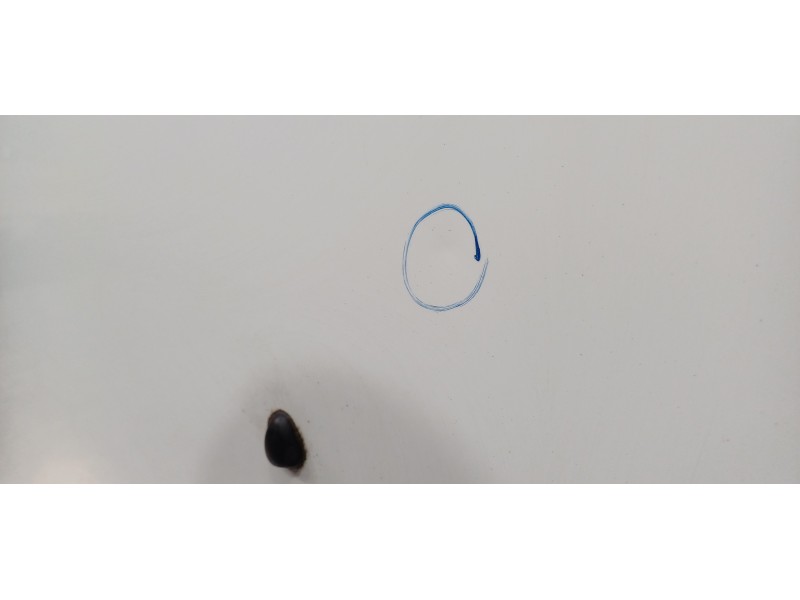 Recambio de capot para dacia logan ii ambiance referencia OEM IAM    Recambio de capot para dacia logan ii ambiance referencia OEM IAM