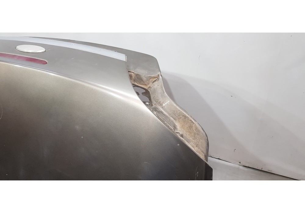 Recambio de porton trasero para ford focus cabrio (ca5) titanium (02.2008) referencia OEM IAM 1544584 6N41L40110SG  Recambio de porton trasero para ford focus cabrio (ca5) titanium (02.2008) referencia OEM IAM 1544584 6N41L40110SG