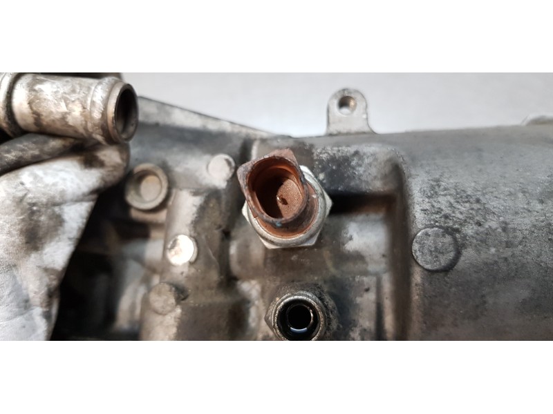 Recambio de enfriador aceite motor para audi a4 avant (8e) 2.0 tdi referencia OEM IAM 045115389E   Recambio de enfriador aceite motor para audi a4 avant (8e) 2.0 tdi referencia OEM IAM 045115389E