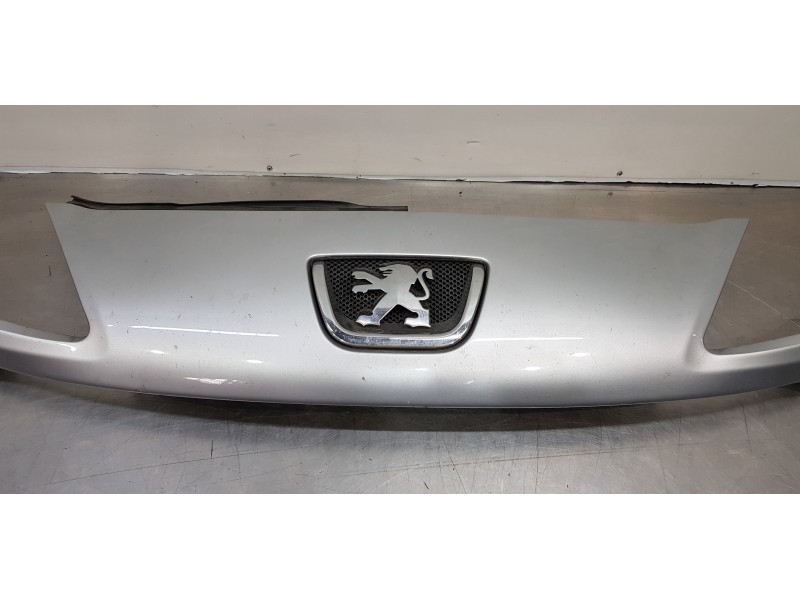 Recambio de rejilla delantera para peugeot 1007 sport referencia OEM IAM 7804R7   Recambio de rejilla delantera para peugeot 1007 sport referencia OEM IAM 7804R7