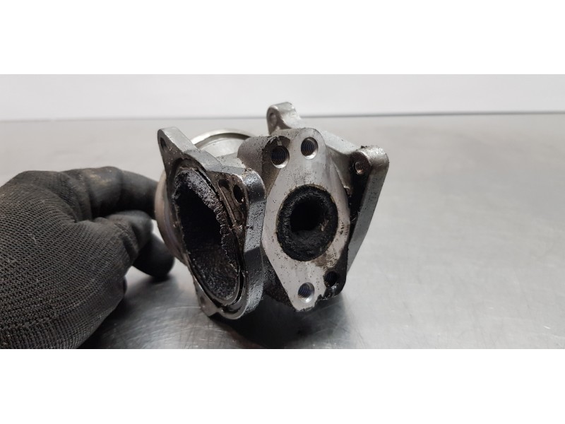 Recambio de valvula egr para volkswagen golf v berlina (1k1) highline referencia OEM IAM 038131501S  
