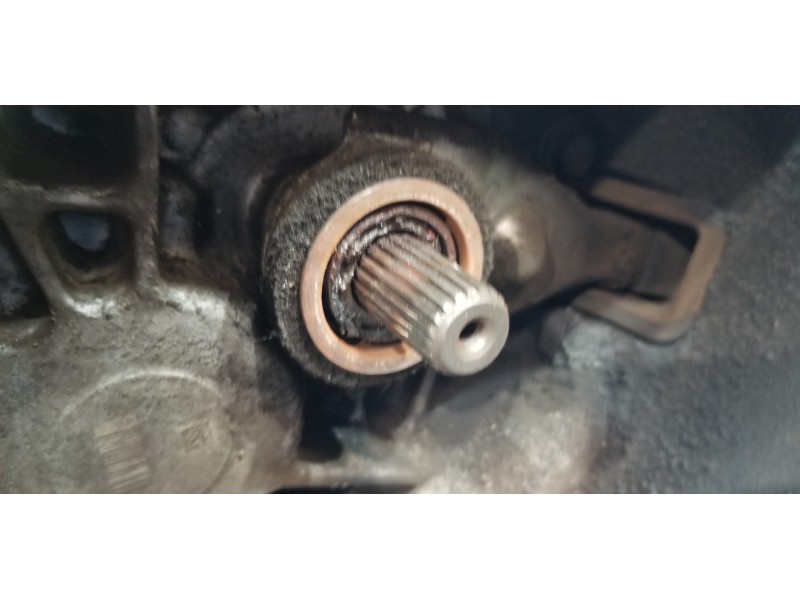 Recambio de caja cambios para kia carens ( ) concept referencia OEM IAM 430003D686 M56CF31  Recambio de caja cambios para kia carens ( ) concept referencia OEM IAM 430003D686 M56CF31