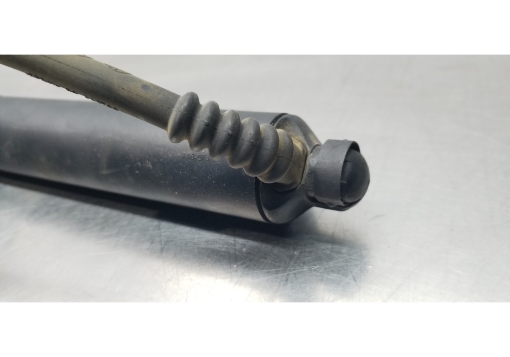 Recambio de amortiguadores maletero / porton para ford focus turnier active referencia OEM IAM 2634285 JX7BN404C84AG  Recambio de amortiguadores maletero / porton para ford focus turnier active referencia OEM IAM 2634285 JX7BN404C84AG