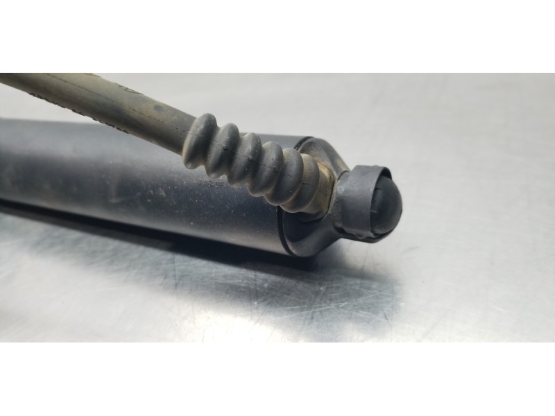 Recambio de amortiguadores maletero / porton para ford focus turnier active referencia OEM IAM 2634285 JX7BN404C84AG  Recambio de amortiguadores maletero / porton para ford focus turnier active referencia OEM IAM 2634285 JX7BN404C84AG