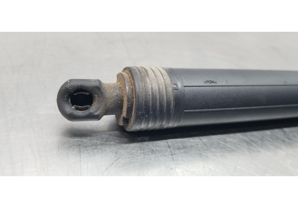 Recambio de amortiguadores maletero / porton para ford focus turnier active referencia OEM IAM 2634285 JX7BN404C84AG  Recambio de amortiguadores maletero / porton para ford focus turnier active referencia OEM IAM 2634285 JX7BN404C84AG