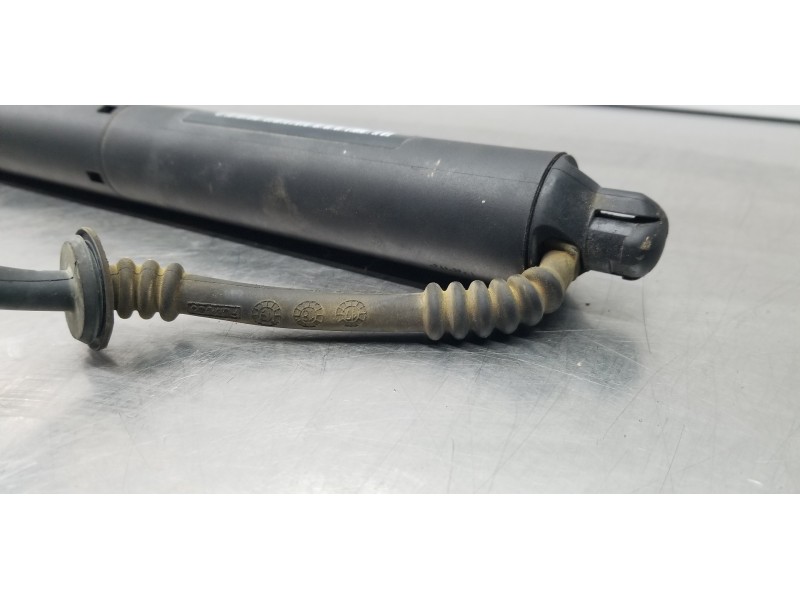 Recambio de amortiguadores maletero / porton para ford focus turnier active referencia OEM IAM 2634285 JX7BN404C84AD  Recambio de amortiguadores maletero / porton para ford focus turnier active referencia OEM IAM 2634285 JX7BN404C84AD