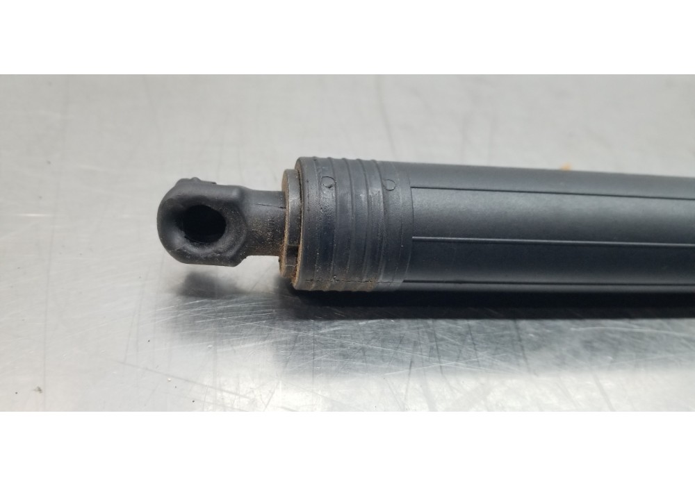 Recambio de amortiguadores maletero / porton para ford focus turnier active referencia OEM IAM 2634285 JX7BN404C84AD  Recambio de amortiguadores maletero / porton para ford focus turnier active referencia OEM IAM 2634285 JX7BN404C84AD