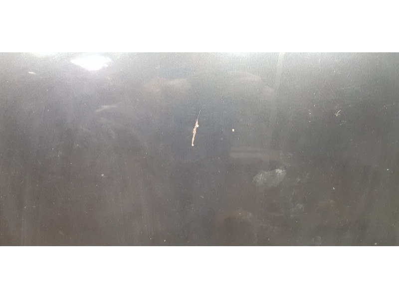 Recambio de capot para ford focus lim. (cb4) business referencia OEM IAM 1521601 P8M51A16610AE  Recambio de capot para ford focus lim. (cb4) business referencia OEM IAM 1521601 P8M51A16610AE