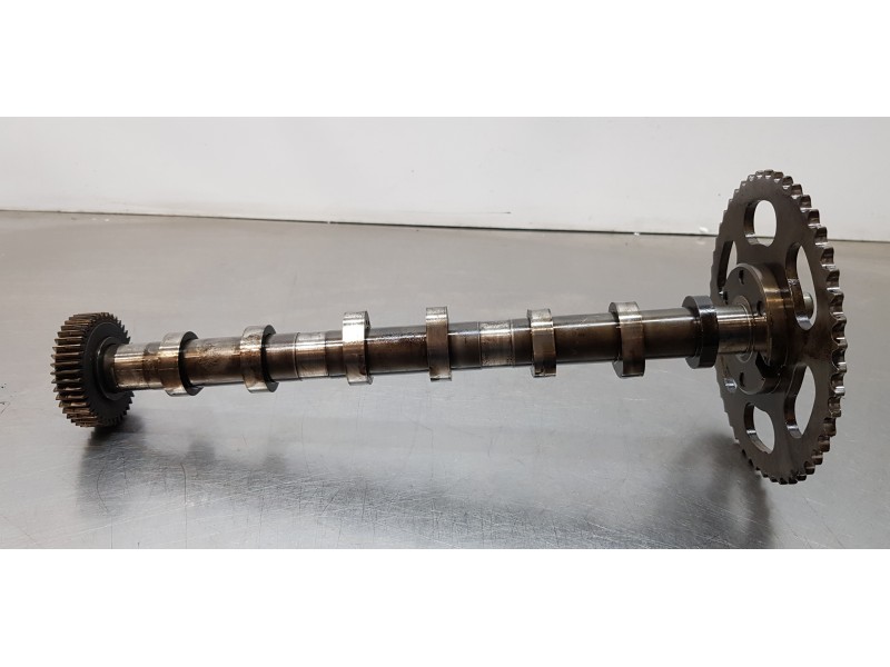 Recambio de arbol de levas para audi a6 lim. (4g2) 3.0 tdi quattro referencia OEM IAM 059109116A  