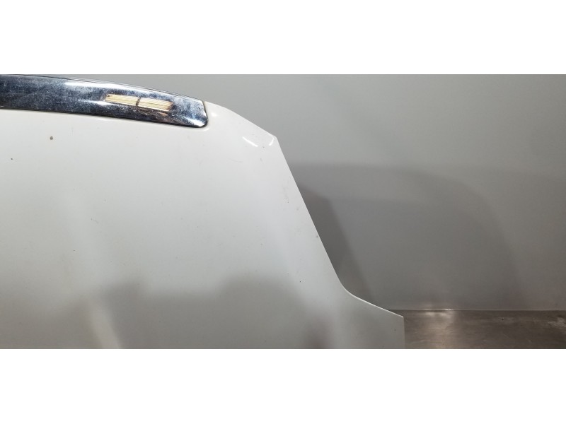 Recambio de capot para ford kuga (cbv) titanium referencia OEM IAM 1718513 P8V41S16610AE 