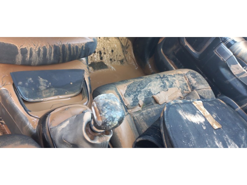 citroen c4 cactus del año 2019