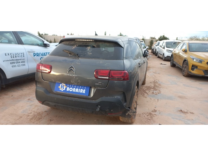 citroen c4 cactus del año 2019