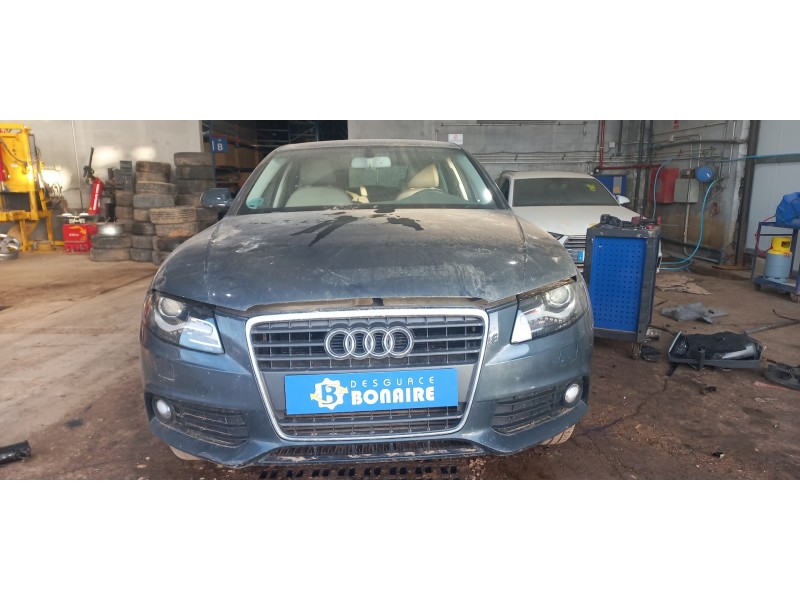 audi a4 ber. (b8) del año 1950