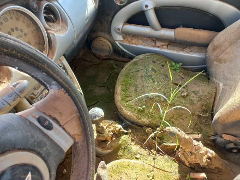 bmw mini (r50,r53) del año 2004