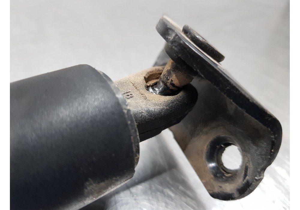 Recambio de amortiguadores maletero / porton para ford kuga (cbs) titanium referencia OEM IAM 5188513 CJ54S402A74AC  Recambio de amortiguadores maletero / porton para ford kuga (cbs) titanium referencia OEM IAM 5188513 CJ54S402A74AC