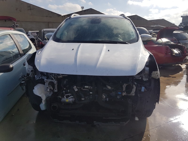 ford kuga (cbs) del año 2016