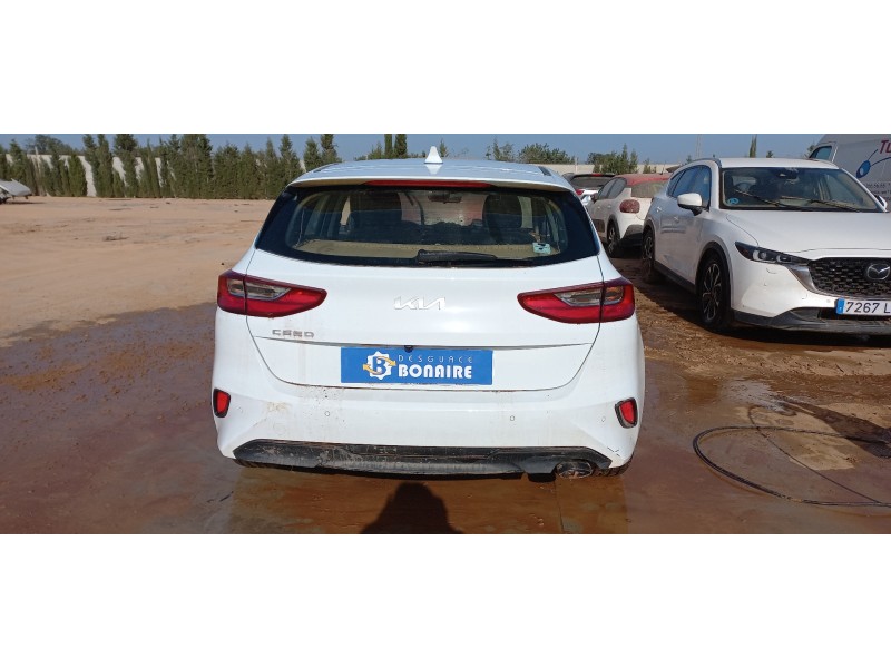 kia ceed del año 2024