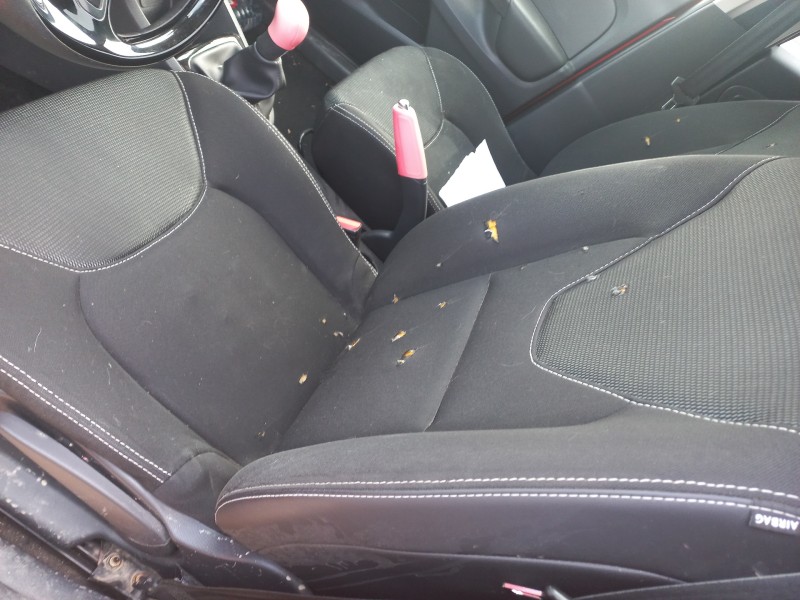 renault clio iv del año 2015