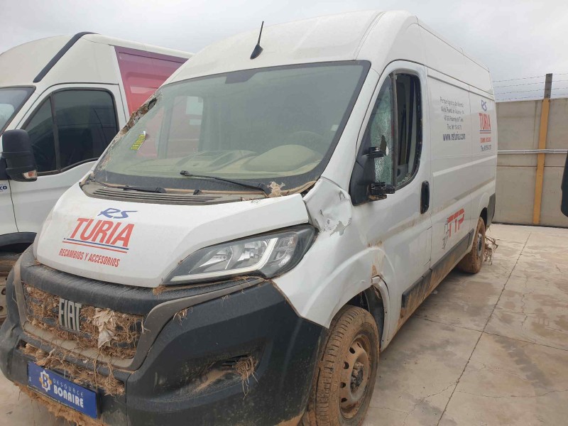 fiat ducato furgón del año 2023