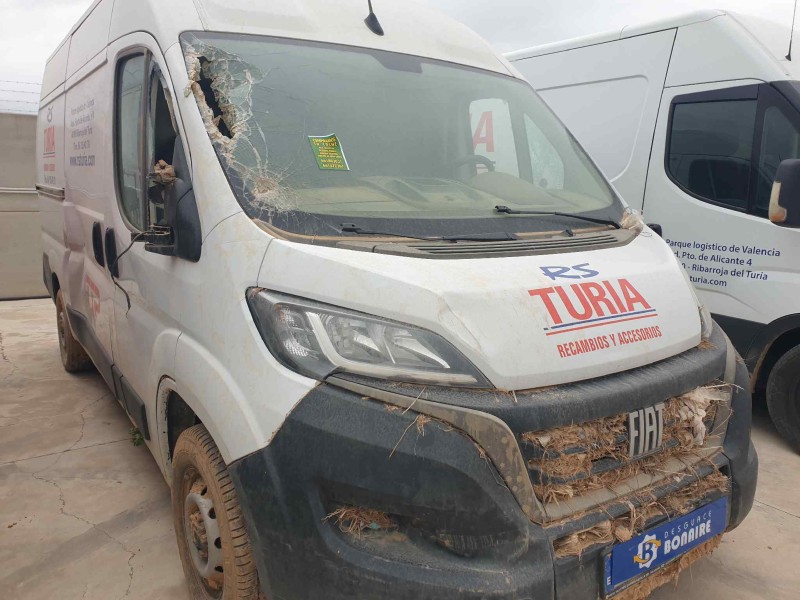 fiat ducato furgón del año 2023