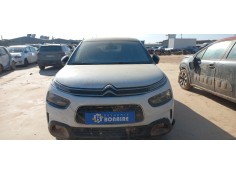 citroen c4 cactus del año 2020