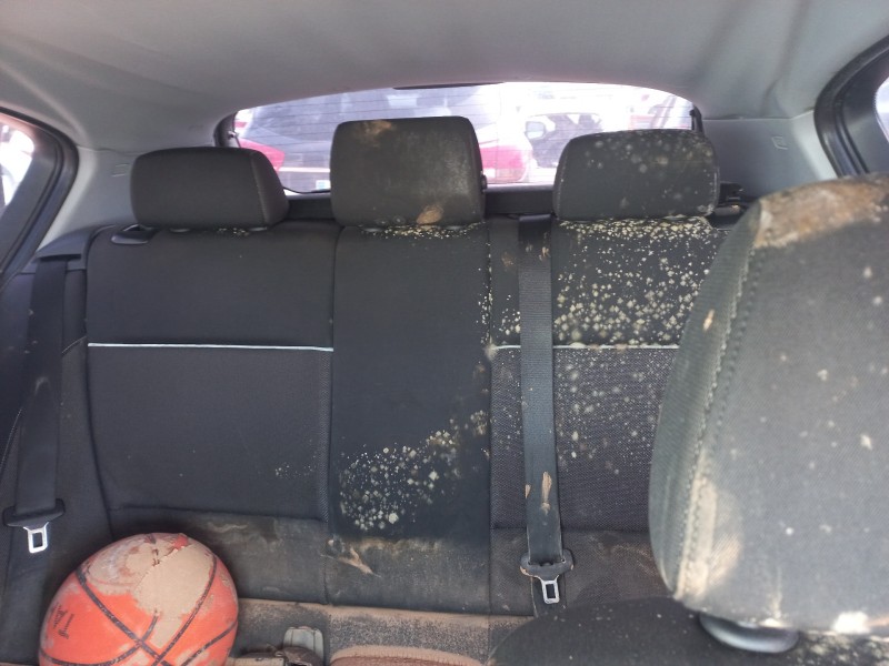 bmw serie 1 berlina (e81/e87) del año 2007