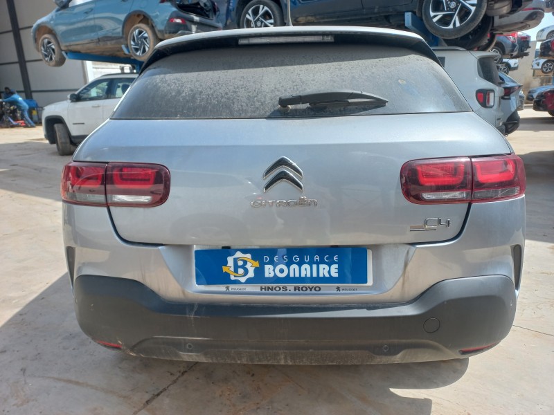 citroen c4 cactus del año 2019