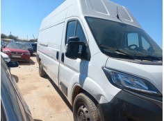 fiat ducato furgón del año 2022 2
