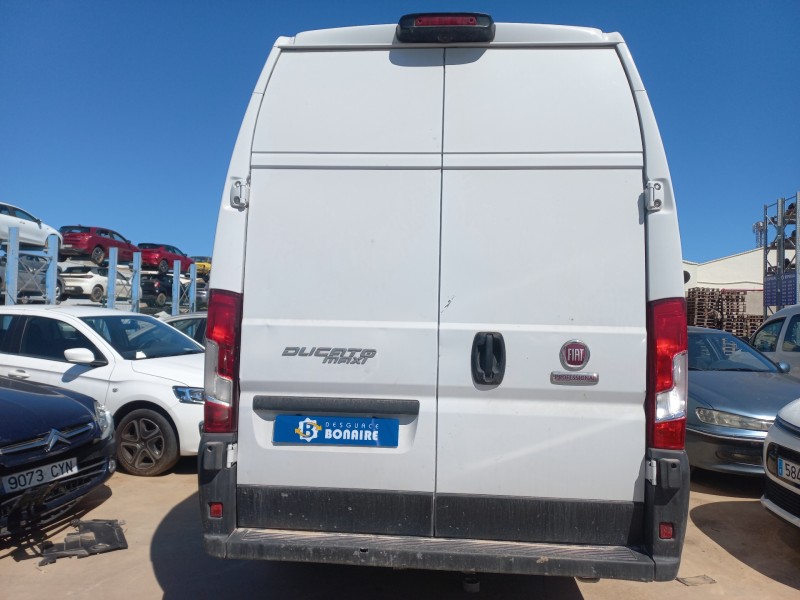 fiat ducato furgón del año 2022