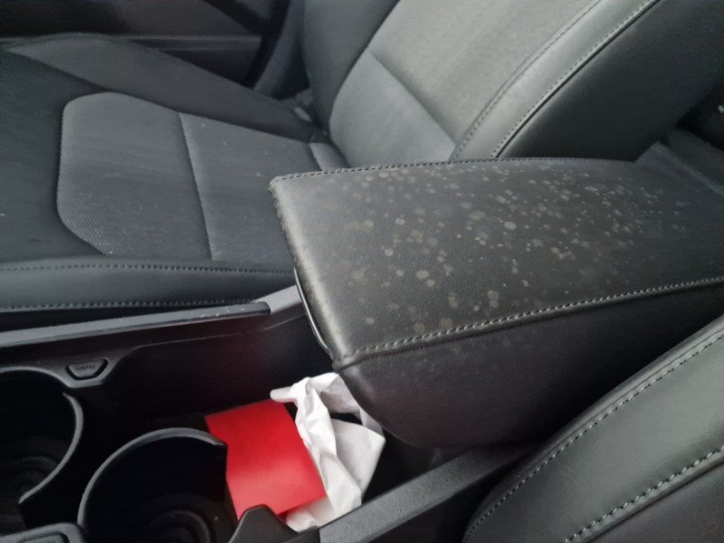 kia niro del año 2024