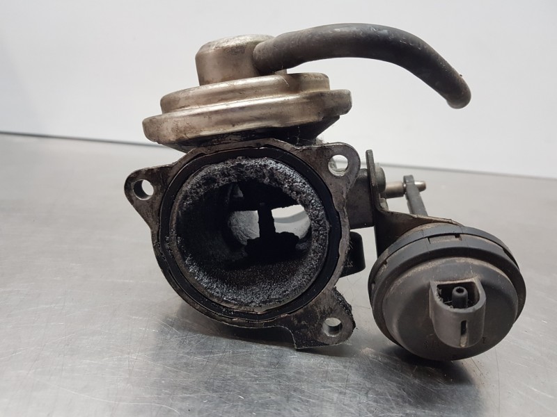 Recambio de valvula egr para seat ibiza (6l1) sigma referencia OEM IAM 038131501M  