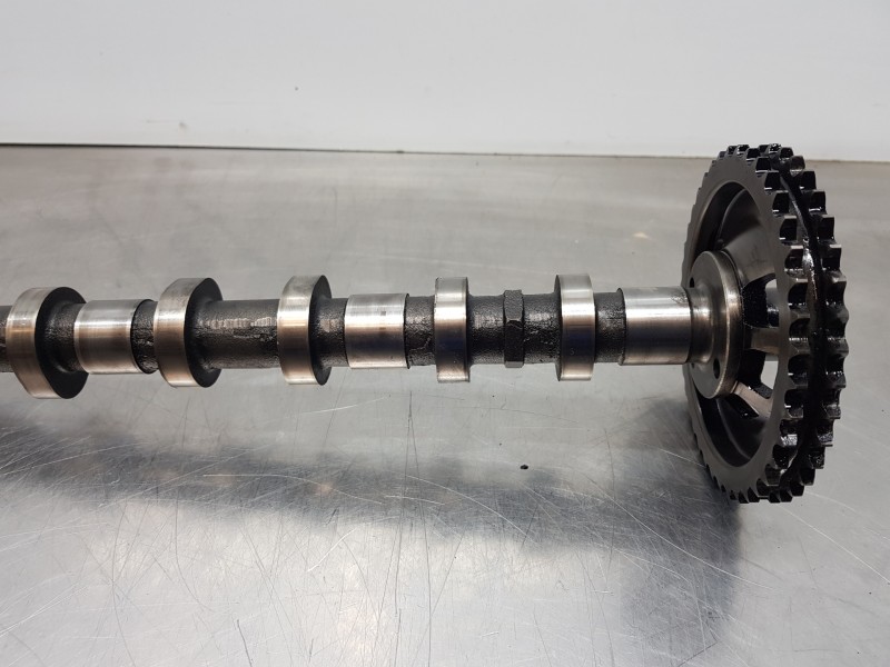 Recambio de arbol de levas para ssangyong rodius premium referencia OEM IAM 6650500401  