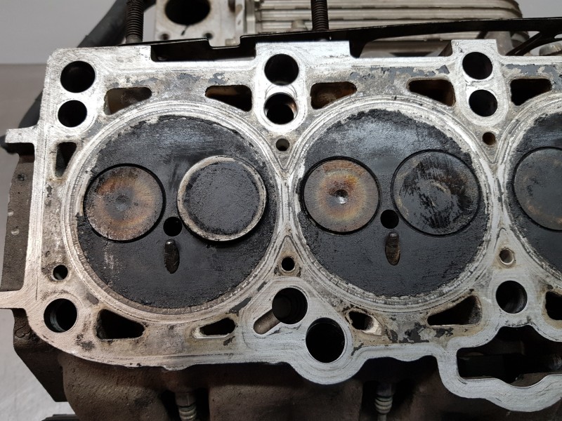 Recambio de culata para seat leon (1m1) signa referencia OEM IAM 038103267A 038103373R 038103265KX