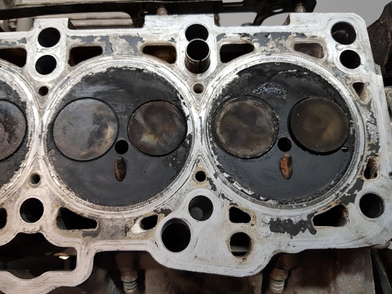 Recambio de culata para seat leon (1m1) signa referencia OEM IAM 038103267A 038103373R 038103265KX